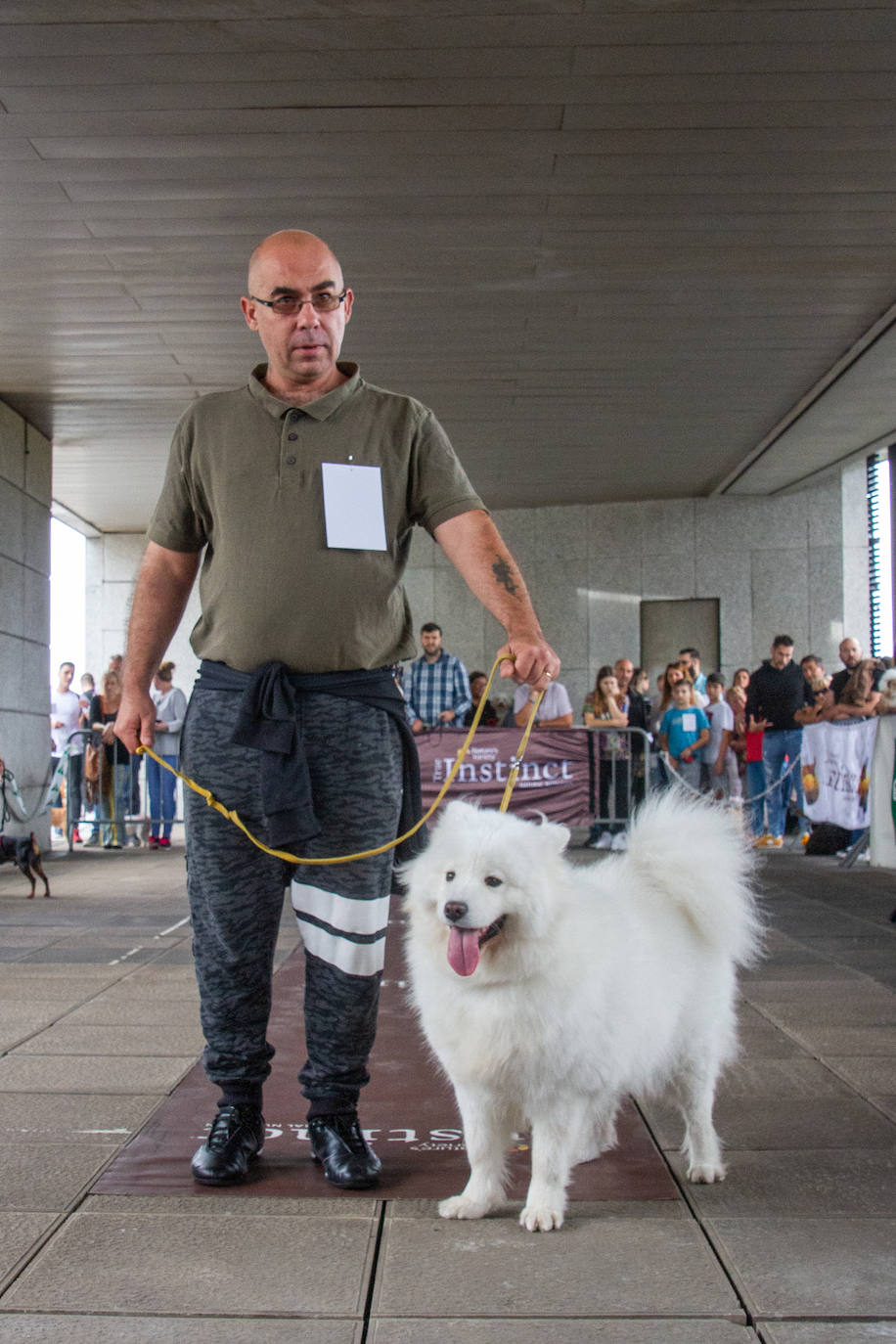 El centro comercial celebró la décima edición de este evento que premió a los perros más bonitos, simpáticos y educados