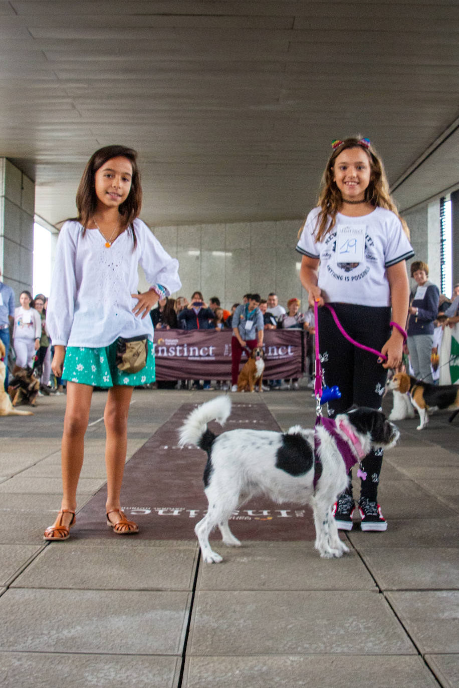 El centro comercial celebró la décima edición de este evento que premió a los perros más bonitos, simpáticos y educados