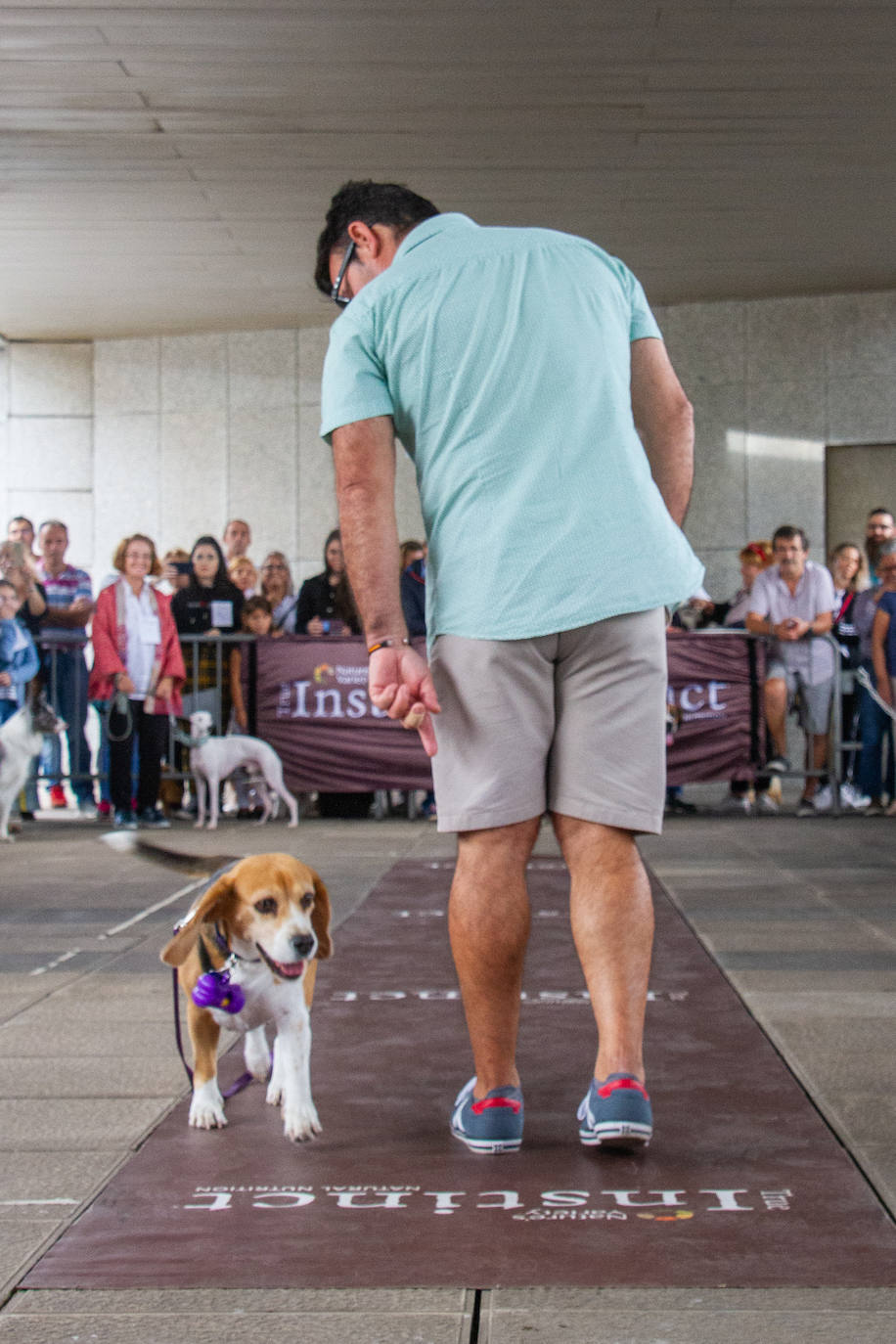 El centro comercial celebró la décima edición de este evento que premió a los perros más bonitos, simpáticos y educados