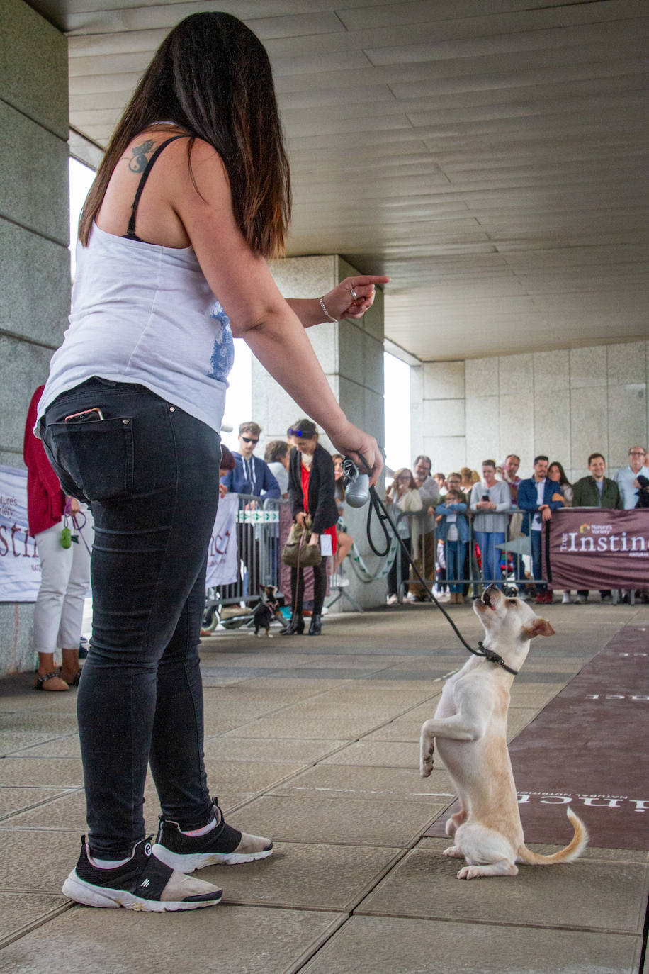 El centro comercial celebró la décima edición de este evento que premió a los perros más bonitos, simpáticos y educados