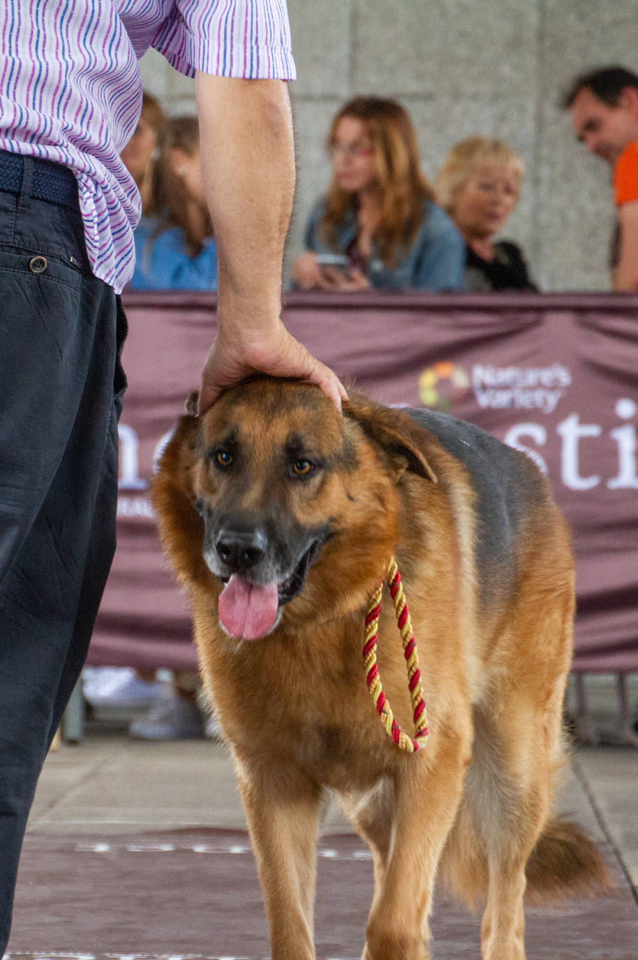 El centro comercial celebró la décima edición de este evento que premió a los perros más bonitos, simpáticos y educados