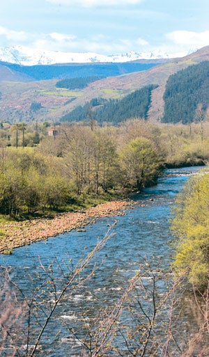 El río Saja, uno de los principales de Cantabria, que tiene su nacimiento en los puertos de Sejos.