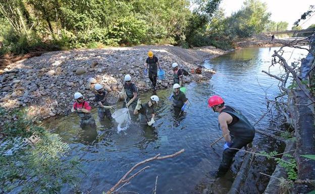 Los trabajos se realizaron junto al puente de Villanueva de la Peña.