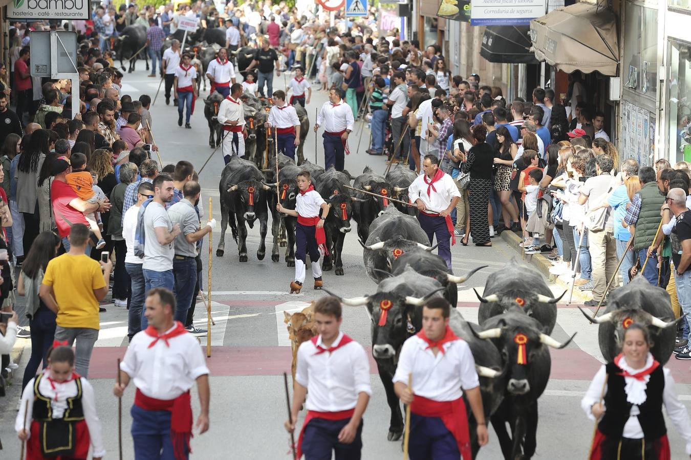 Fotos: Olimpiada del Tudanco en Cabezón de la Sal