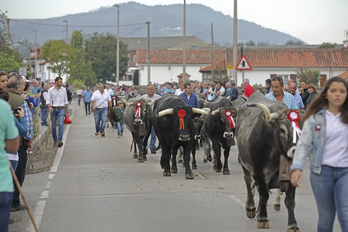 Fotos: Olimpiada del Tudanco en Cabezón de la Sal