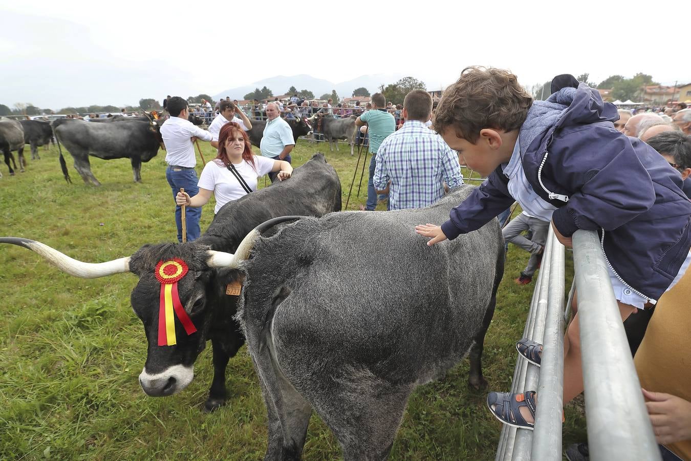 Fotos: Olimpiada del Tudanco en Cabezón de la Sal
