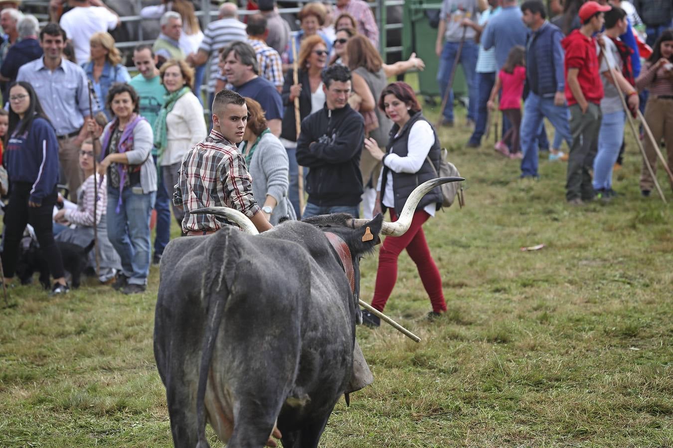 Fotos: Olimpiada del Tudanco en Cabezón de la Sal