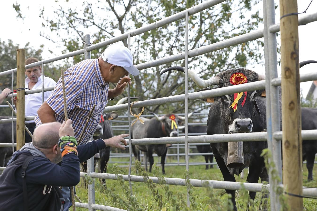 Fotos: Olimpiada del Tudanco en Cabezón de la Sal