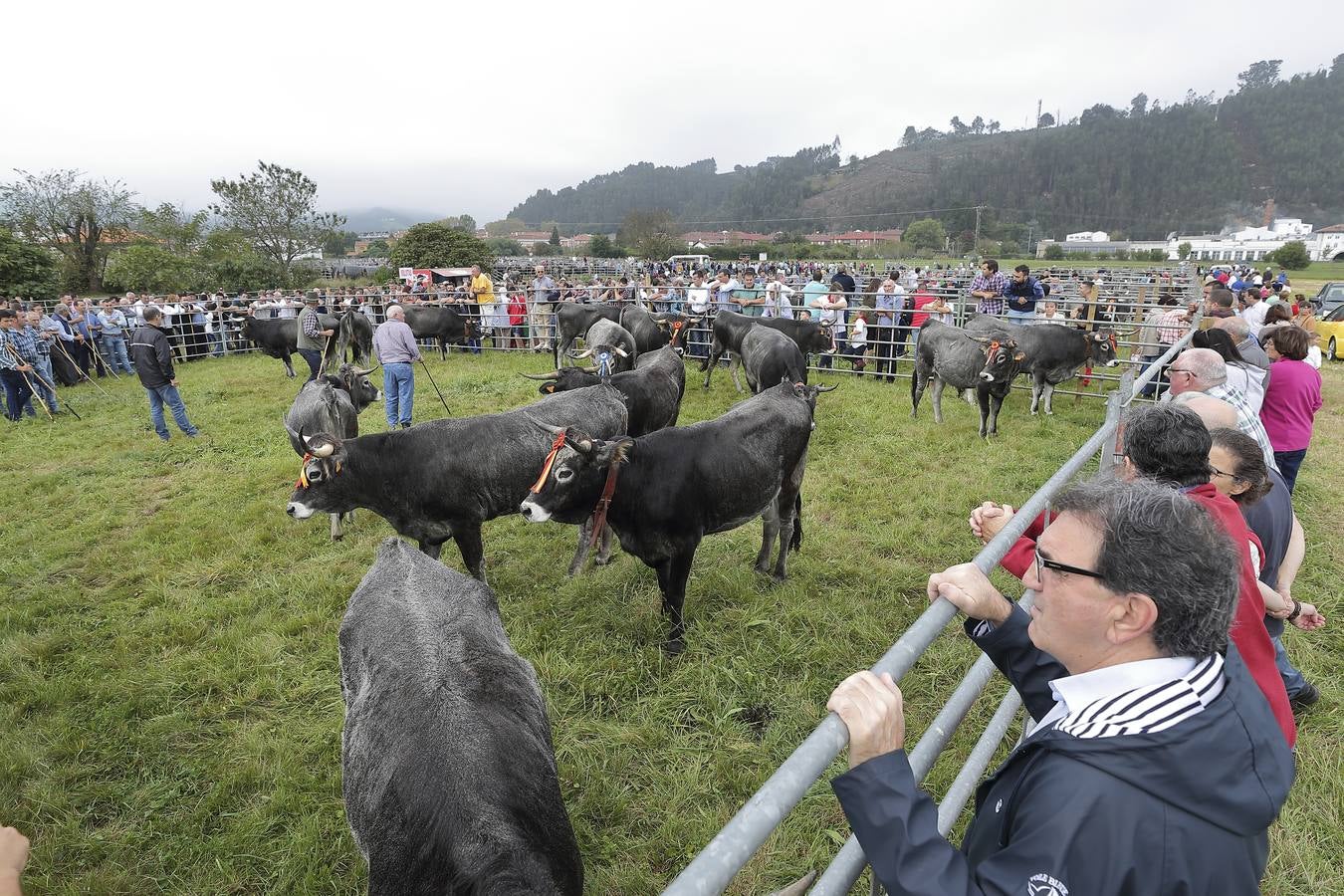 Fotos: Olimpiada del Tudanco en Cabezón de la Sal