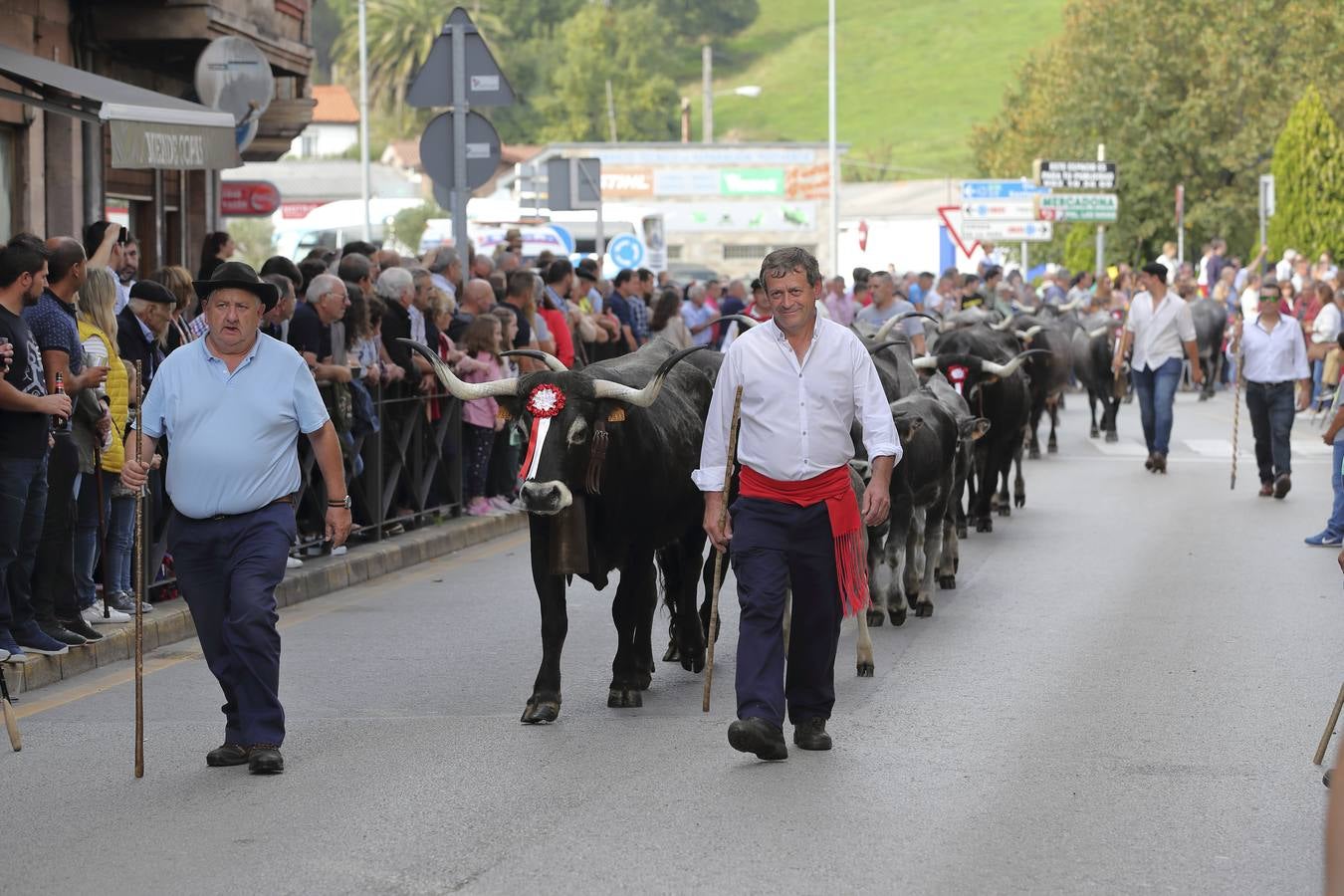 Fotos: Olimpiada del Tudanco en Cabezón de la Sal