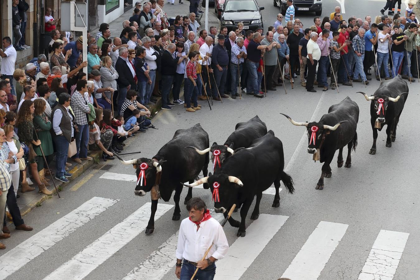 Fotos: Olimpiada del Tudanco en Cabezón de la Sal