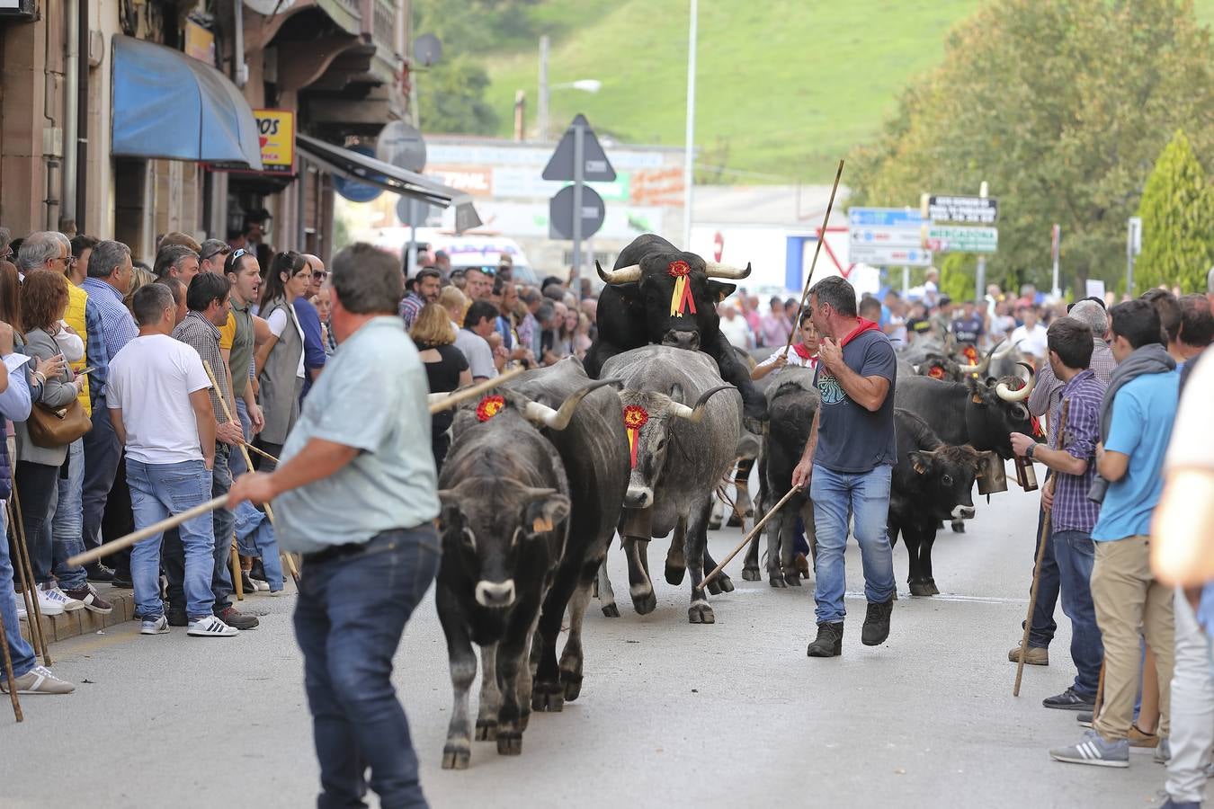 Fotos: Olimpiada del Tudanco en Cabezón de la Sal