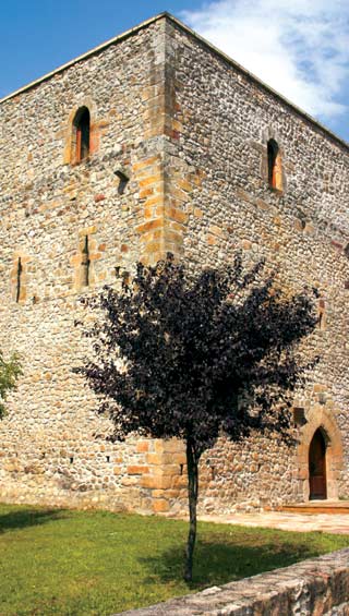 Imagen secundaria 2 - Palacio de San Jorge, en Tarriba. Palacio del los Condes de las Bárcenas, en Mata. Torre de Pero Niño, en Llano.