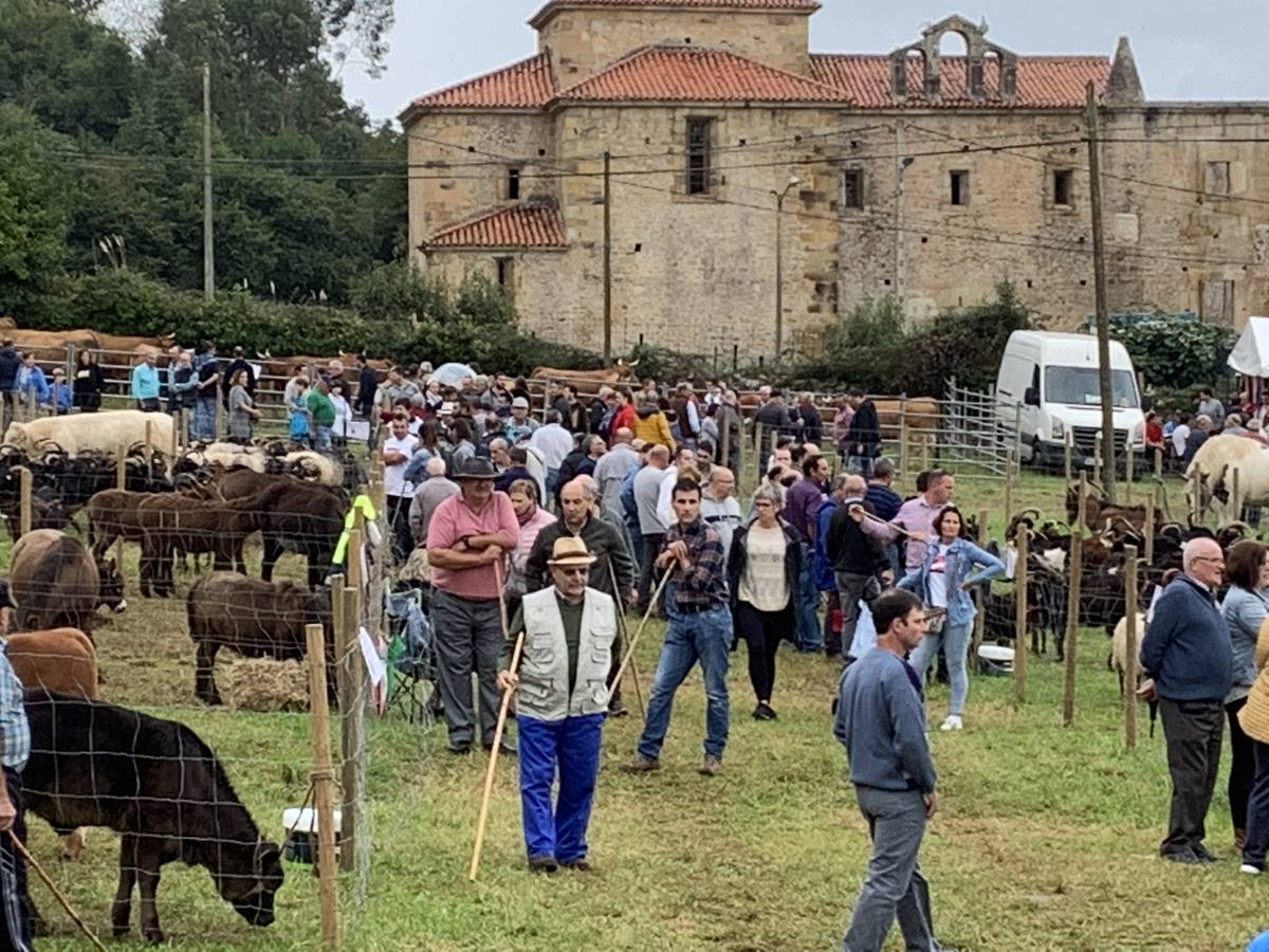 Fotos: Feria de San Lucas en Hoznayo