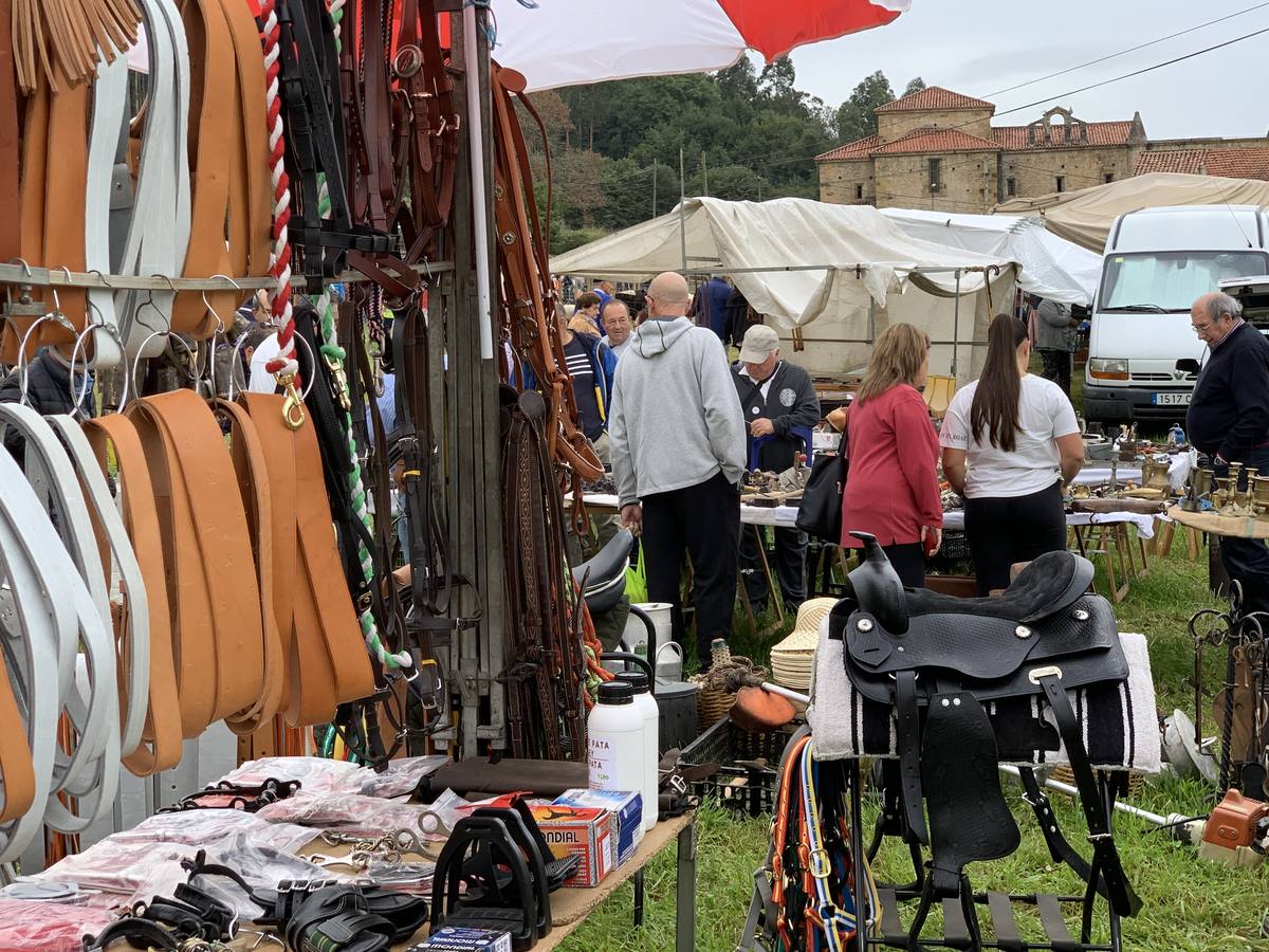 Fotos: Feria de San Lucas en Hoznayo