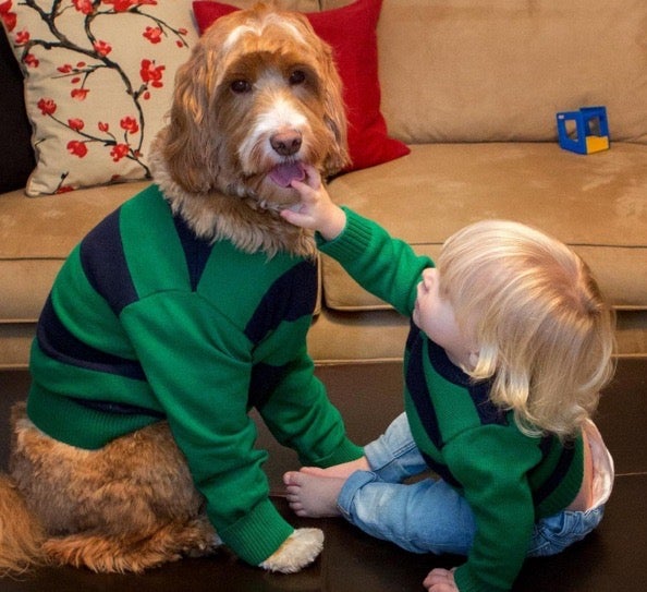 Peques y mascotas de estilo único.