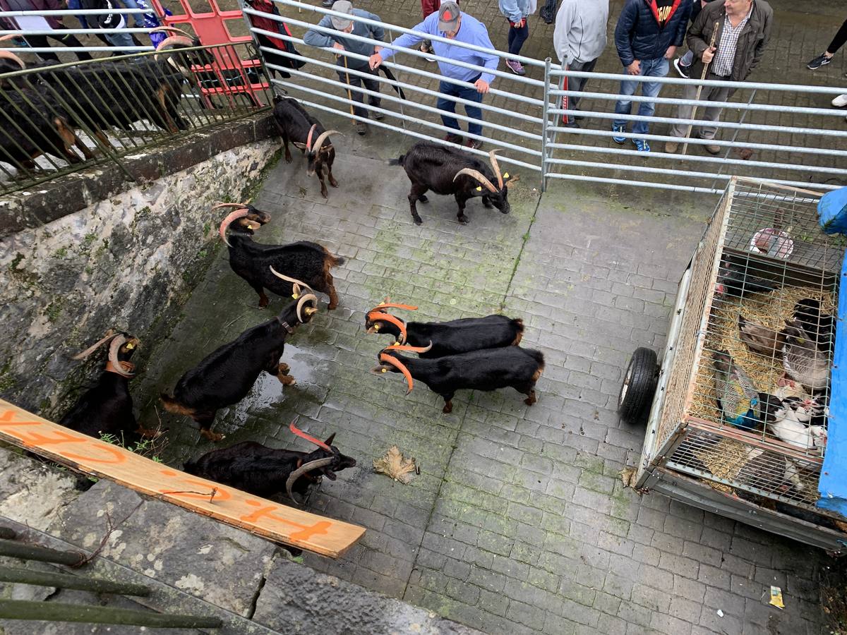 Fotos: Tradición arraigada en Arredondo