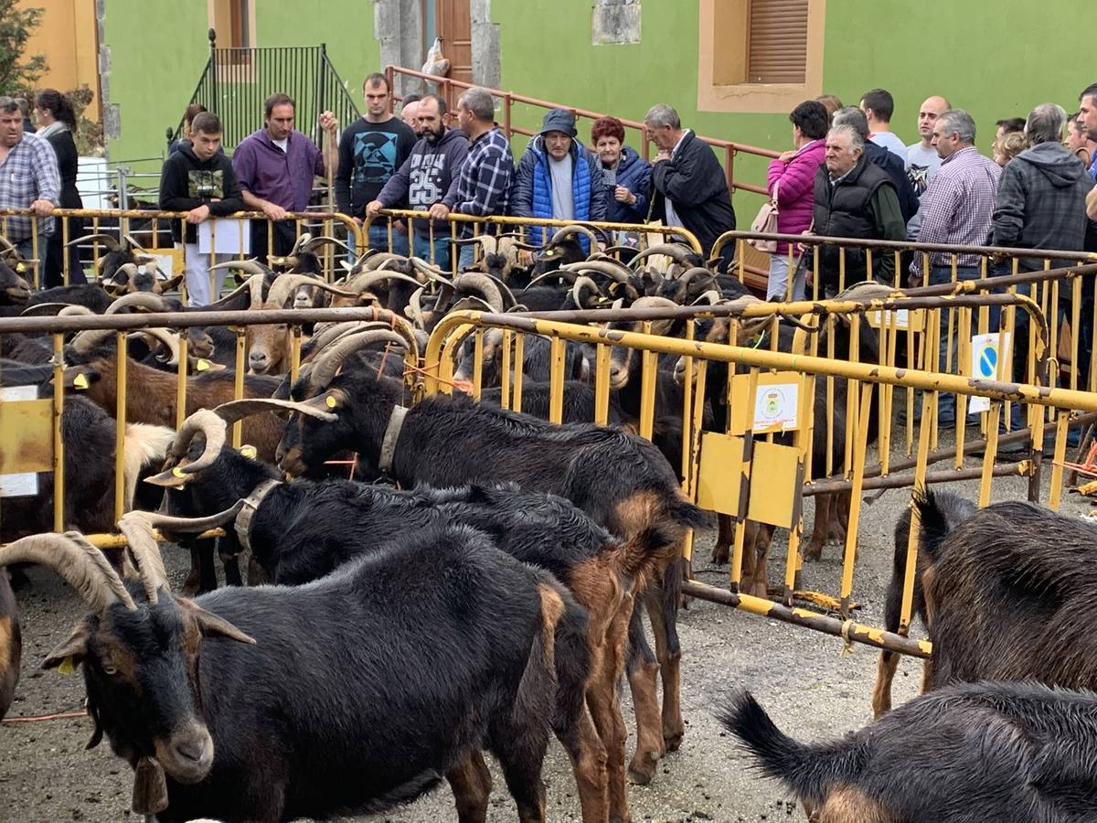 Fotos: Tradición arraigada en Arredondo