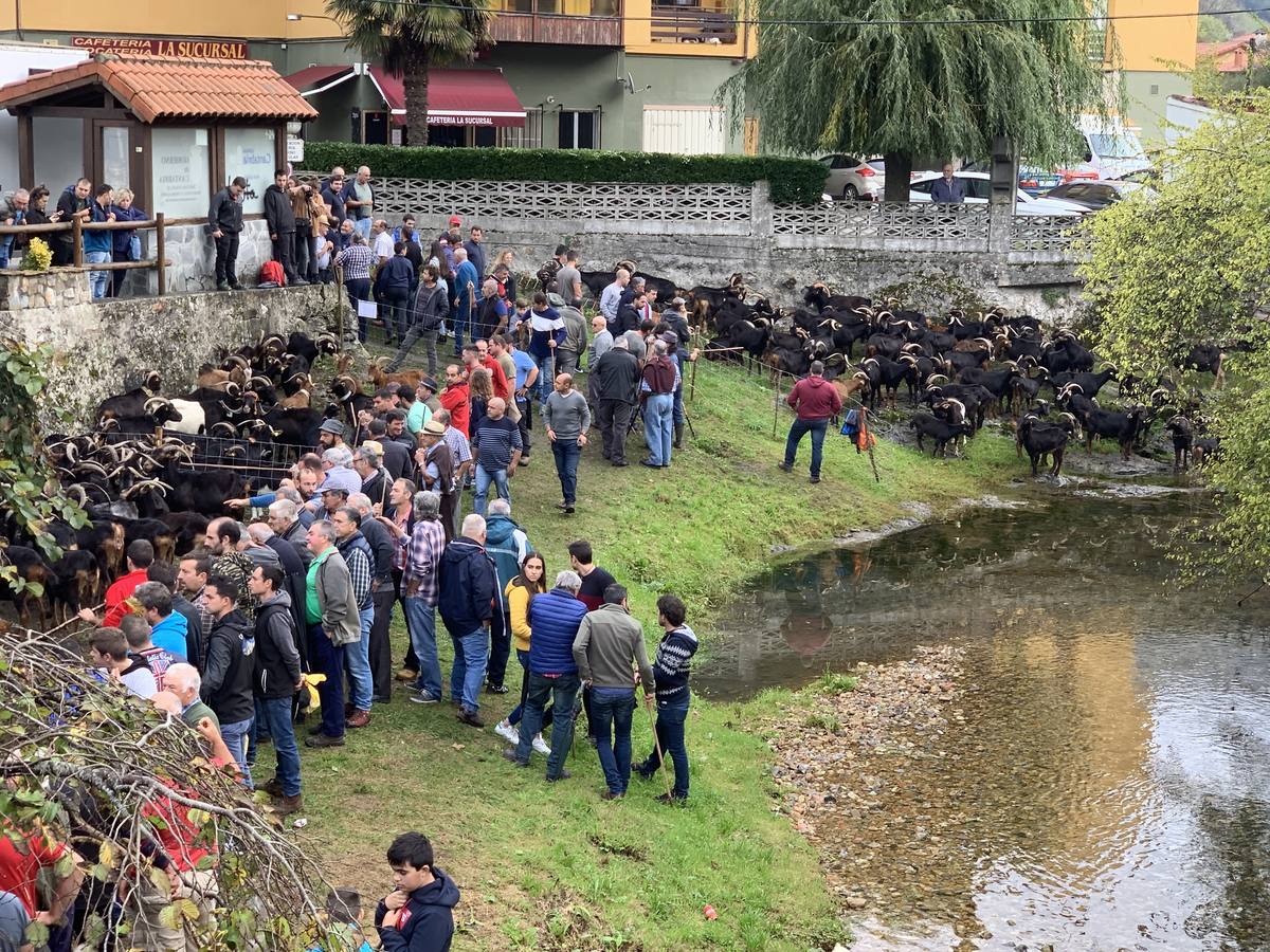 Fotos: Tradición arraigada en Arredondo