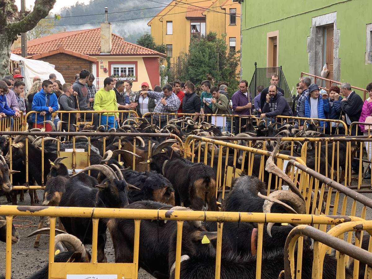 Fotos: Tradición arraigada en Arredondo