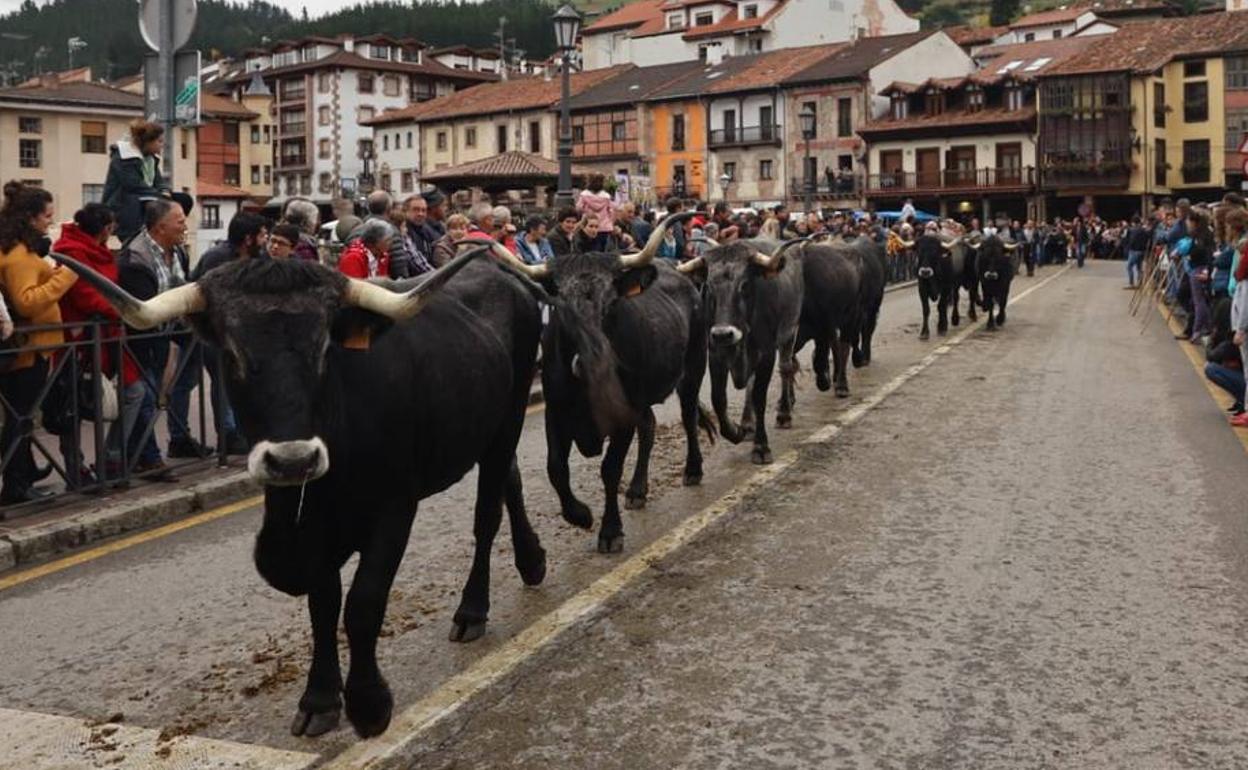 Miles de personas en la feria ganadera de Los Santos en la villa de Potes