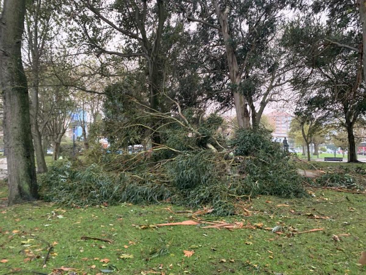 Más destrozos en el Parque de Mesones de Santander.