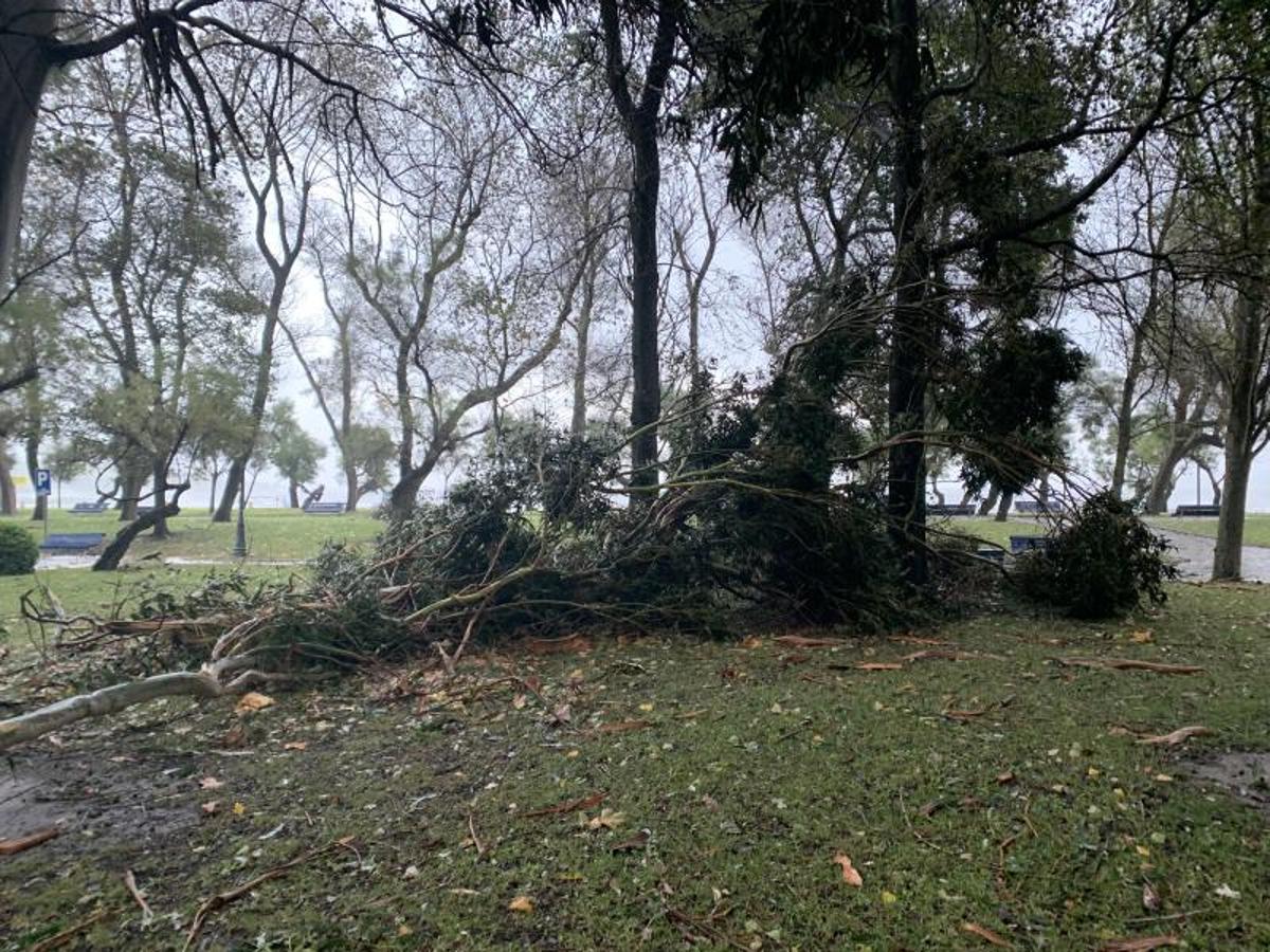 Así amaneció el Parque de Mesones.