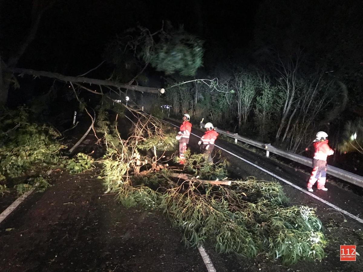 Un eucalipto de 20 metros cayó sobre la carretera en Valdáliga.