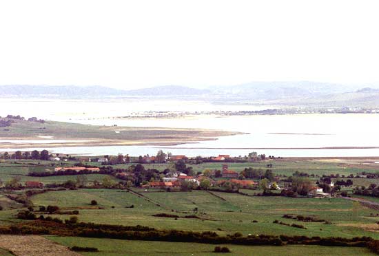 El paisaje natural de Las Rozas de Valdearroyo está marcado por la presencia del pantano del Ebro, que define todo el entorno.