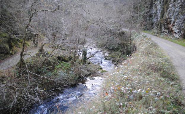 Hermosa ruta por el concejo de Piloña que regala múltiples cascadas y saltos de agua. 