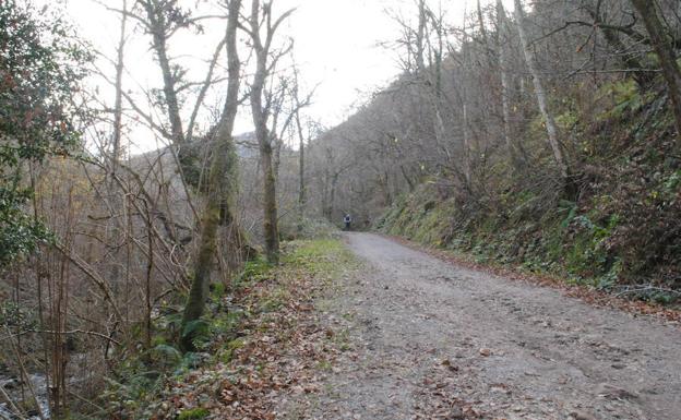 Hermosa ruta por el concejo de Piloña que regala múltiples cascadas y saltos de agua. 