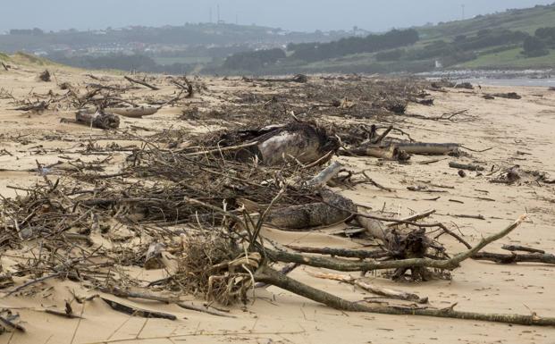 Galería. Imagen de la playa de Valdearenas, en Liencres. 