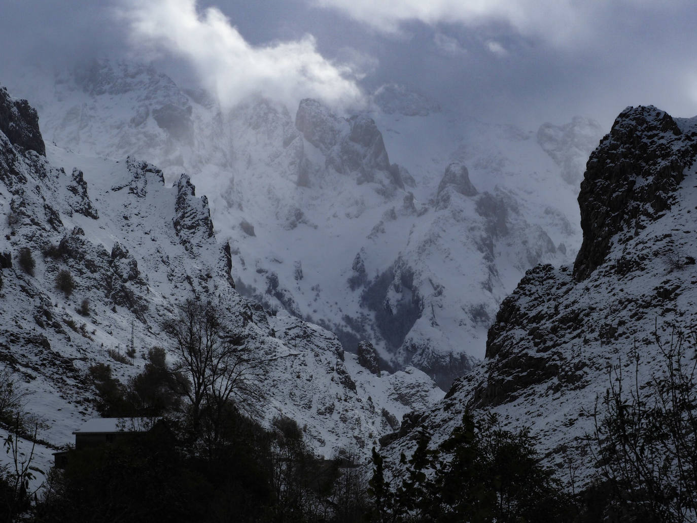 El frío y la nieve han dejado preciosas estampas en el parque nacional, un espacio de extraordinaria belleza en el que se diluyen las fronteras de Asturias, Cantabria y Castilla y León y que supera las 67.000 hectáreas