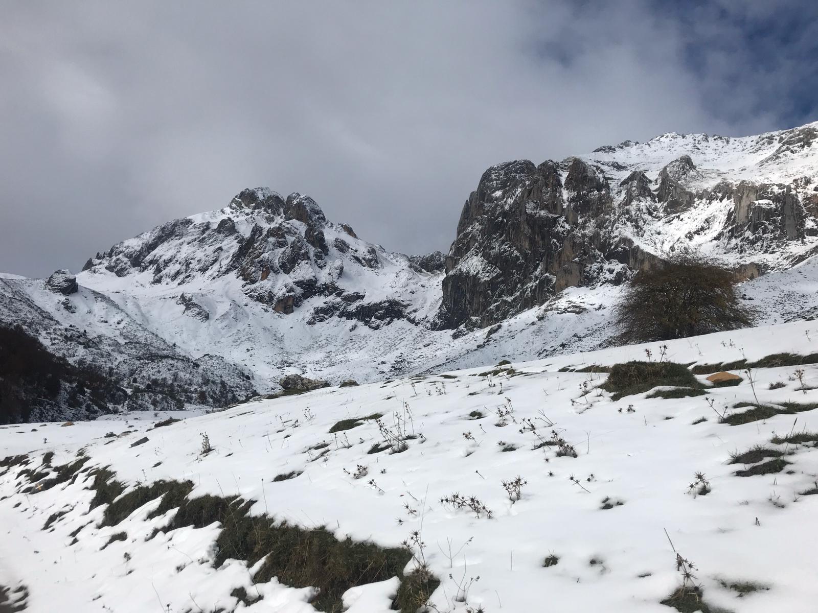 El frío y la nieve han dejado preciosas estampas en el parque nacional, un espacio de extraordinaria belleza en el que se diluyen las fronteras de Asturias, Cantabria y Castilla y León y que supera las 67.000 hectáreas