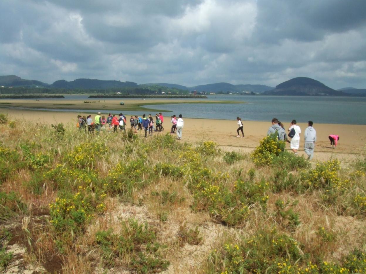 Imagen de una actividad de voluntariado organizada por Bosques de Cantabria. :: bosques de cantabria