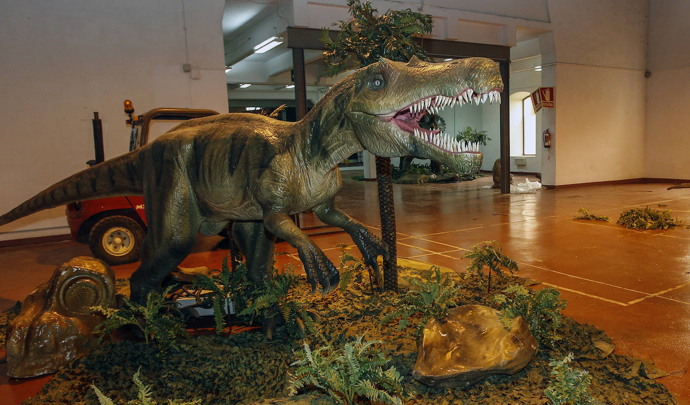 La exposición es un viaje al pasado que permitirá descubrir increíbles esqueletos, aterradores depredadores carnívoros y grandes herbívoros pacíficos