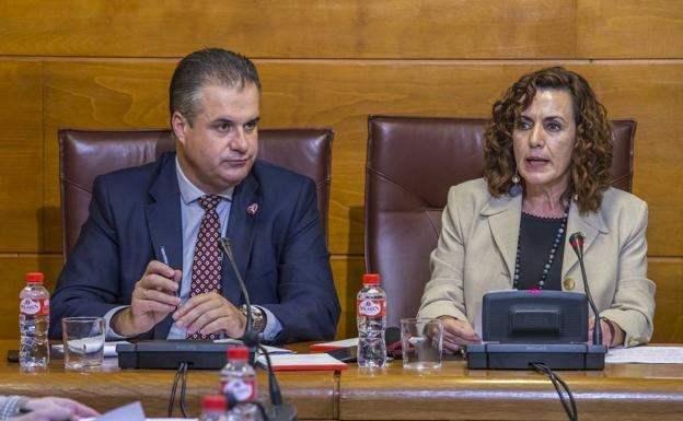 Ana Belén Álvarez (PSOE), durante su comparecencia, junto al diputado Francisco Ortiz (PRC). 