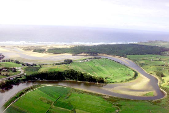 Imagen secundaria 1 - Acantidlados de la zona de La Arnía. Vista del Parque Natural de las Dunas de Liencres y la desembocadura del río Pas, desde el monte de La Picota. Vista de la masa de pino marítimo, en el Parque Natural de las Dunas de Liencres.