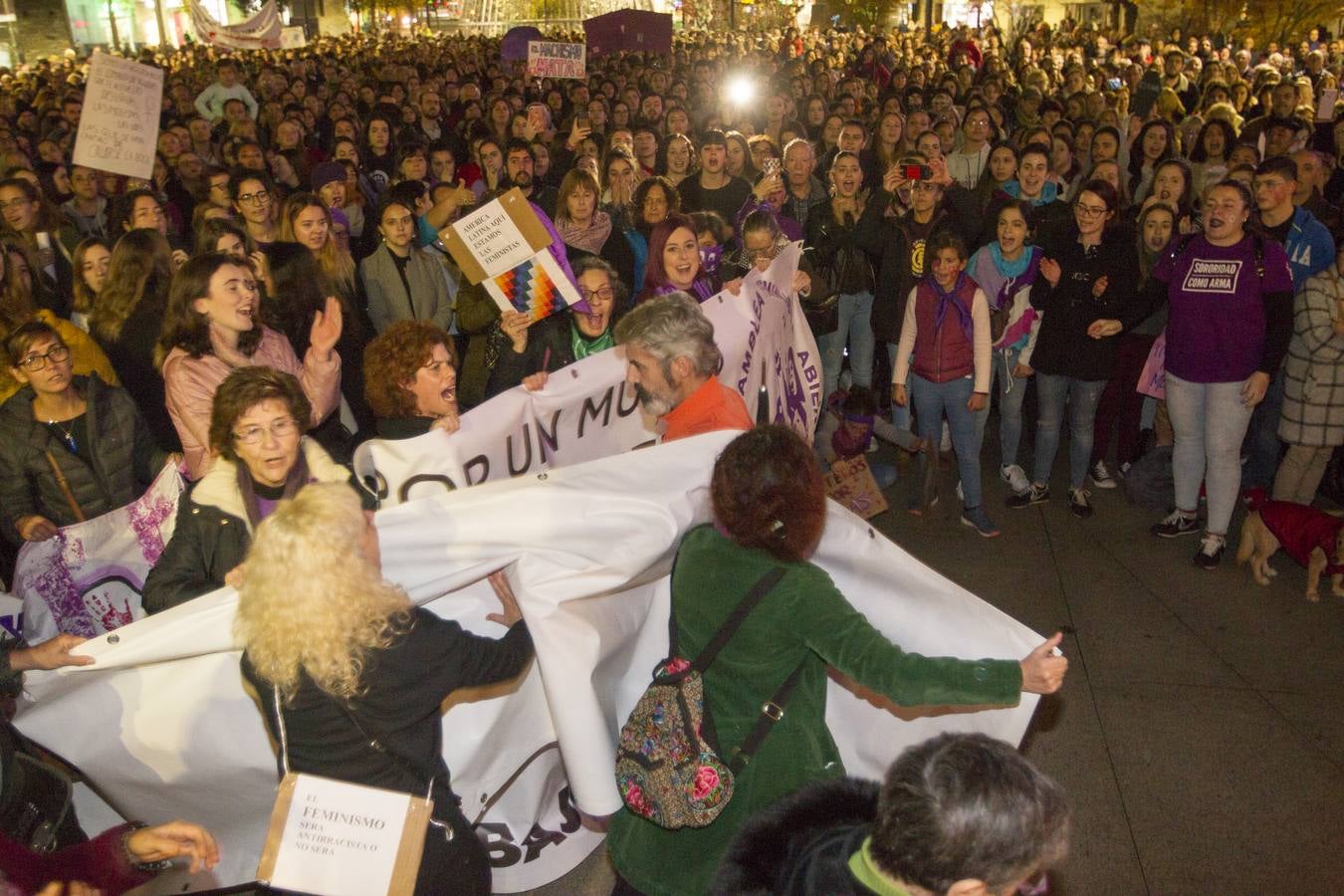 Centenares de personas se han echado a la calle en una manfiestación que ha recorrido el centro de la capital de Cantabria