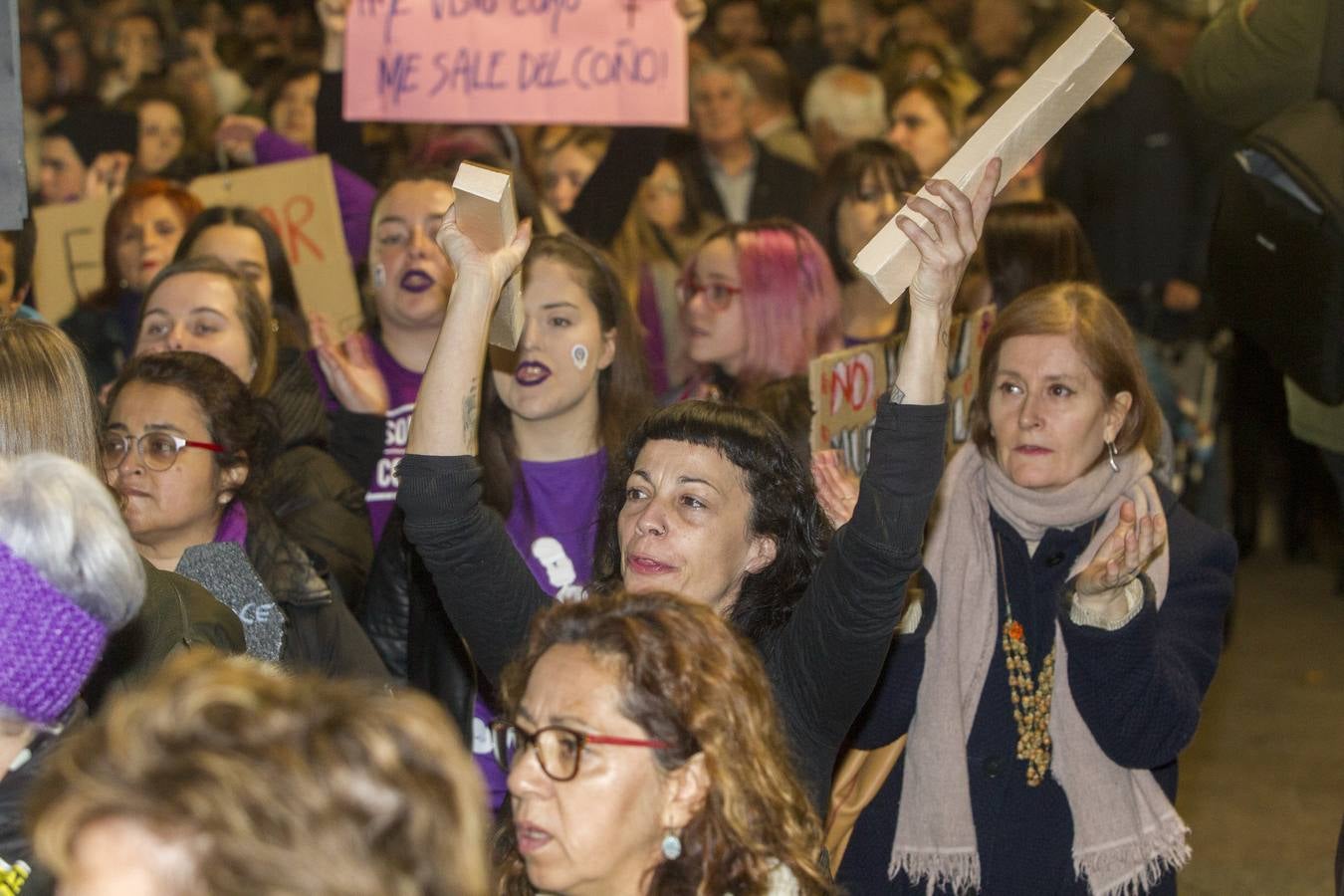 Centenares de personas se han echado a la calle en una manfiestación que ha recorrido el centro de la capital de Cantabria