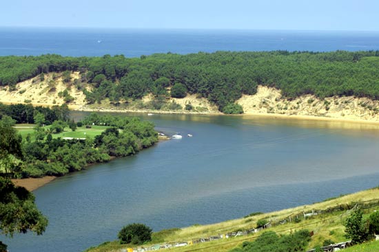 Imagen secundaria 2 - Acantidlados de la zona de La Arnía. Vista del Parque Natural de las Dunas de Liencres y la desembocadura del río Pas, desde el monte de La Picota. Vista de la masa de pino marítimo, en el Parque Natural de las Dunas de Liencres.