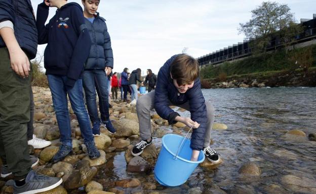 Imagen principal - Imágenes de la suelta de salmones realizada en el río Besaya a la altura de La Viesca.