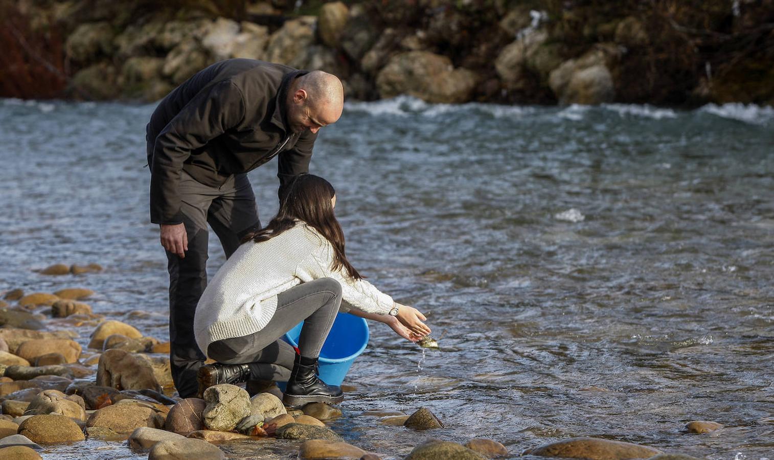 Alumnos del colegio San Agustín de Santander han colaborado en la suelta de salmones en el río Besaya.