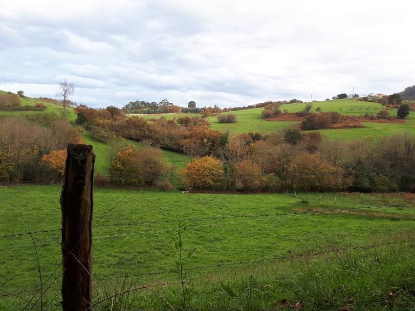 Este paseo por la comunidad vecina más rural nos reencontrará con lugares que fueron grandes centros de encuentro y una herramienta imprescindible para convertir el grano en harina