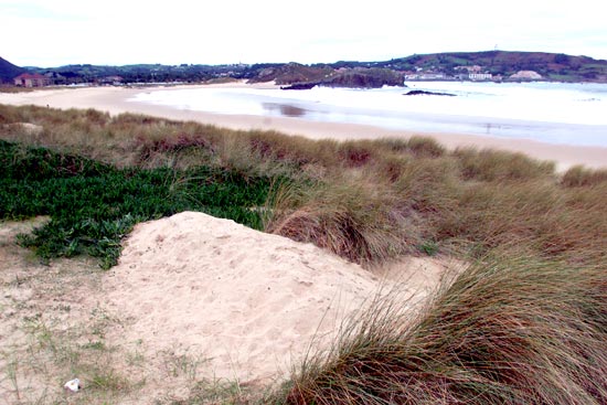 Vista de la playa de Ris.