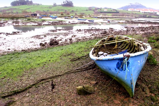 El municipio de Argoños está integrado en la Reserva Natural de las Marismas de Santoña, Noja y Joyel.