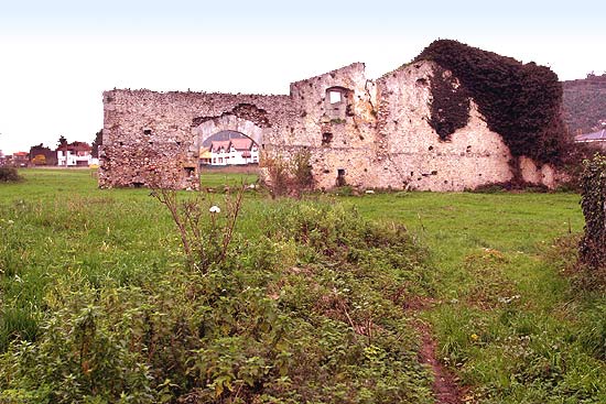 Ruinas de El Torreón, en la localidad de Santiuste.