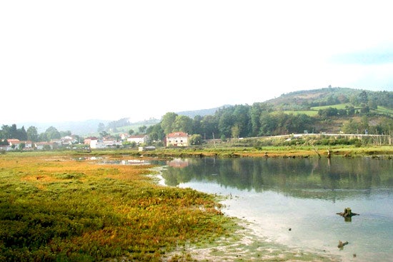 Reserva Natural de las Marismas de Santoña.