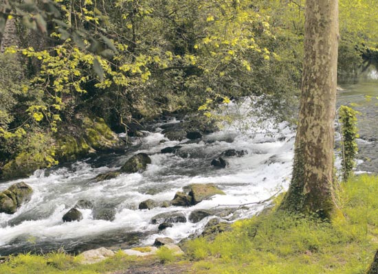 El río Aguanaz, a su paso por la Fuente del Francés..