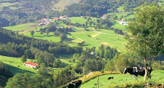 Vista panorámica de Riaño y su entorno.